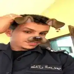 ضيااع