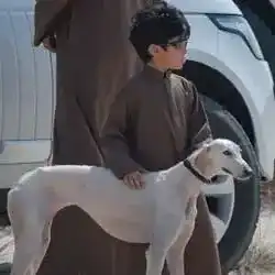 نهيان
