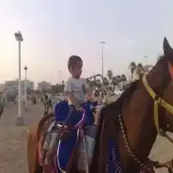 محمد ؤاشد