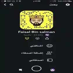 فيصل بن سلمان