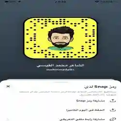 الشاعر محمد القيسي