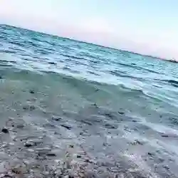 ولد دبي