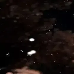 يوسف الحربي 