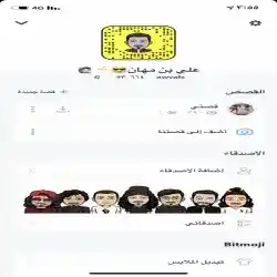 علي بن مهان 