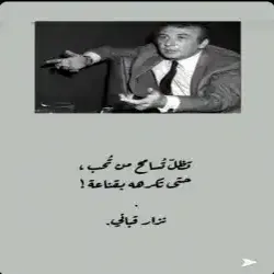 مون فود