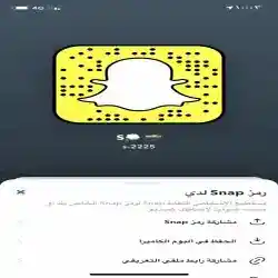 ساااره