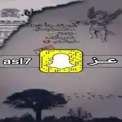 azoo