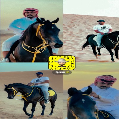 فواز البلوي ?