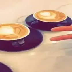 Ameer