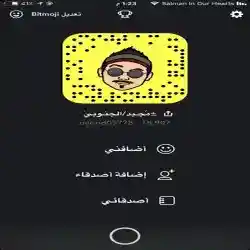 مجيد الجنوبي