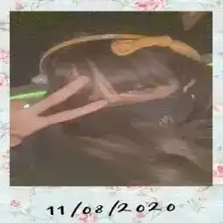 فاطمه البيضاء حسابي ثاني 