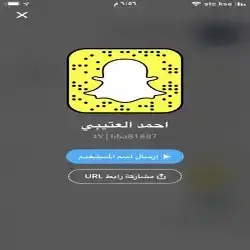 احمد عنيبي