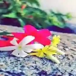 دروب 