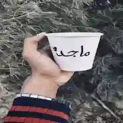 ماجد السبيعي