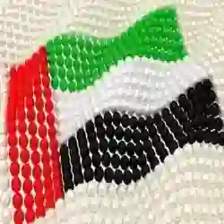علي