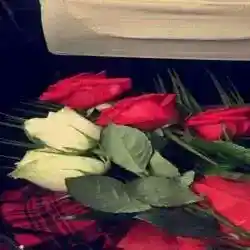 كلمه احبك