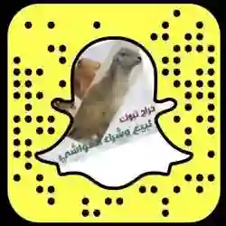 مواشي تبوك 