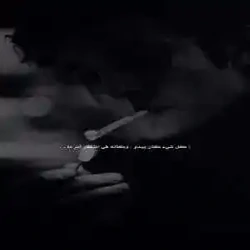 ابو راشد