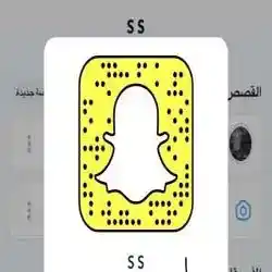 سليطين