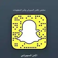 الامن السيبراني