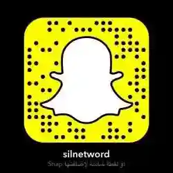 silnetword