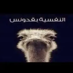 حصه