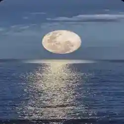 حمود