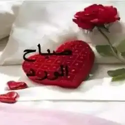  ‏عاشق الليل 