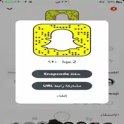 محمد السبيعي 