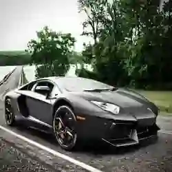 فهد فهود