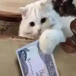 Kmmkm