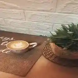 نور الشمس