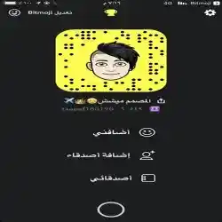 ميش