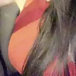 شهد