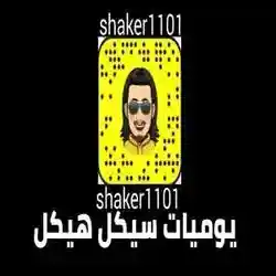 يوميات سيكل هيكل