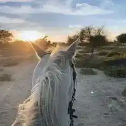 العين دار الزين 