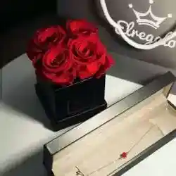 عبدالله 