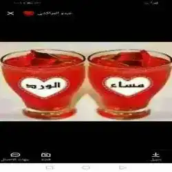الفارس