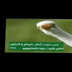 احسنهم خلقنا انفعهم الي 