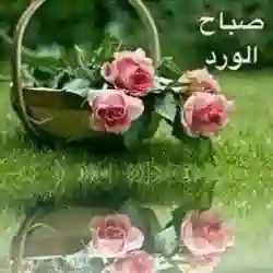 عبدالله ٣٦