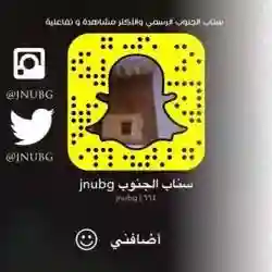 الجنوب