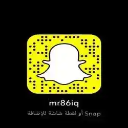الشايب