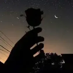 عاشق للرمنسيه