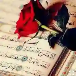 استوري واقتباسات قرأنيه وأدعية مريحه للقلب