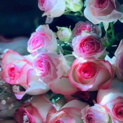 اميره