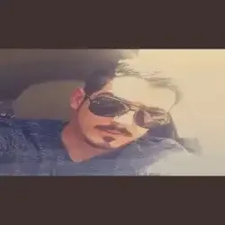 زاجل الحب