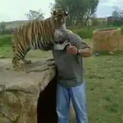 Made in Dubai 
