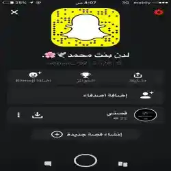 لدن بنت محمد. 