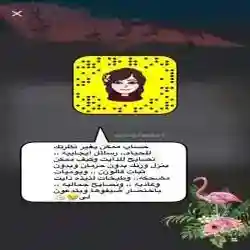 شوشو