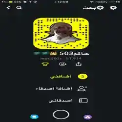 حاكم